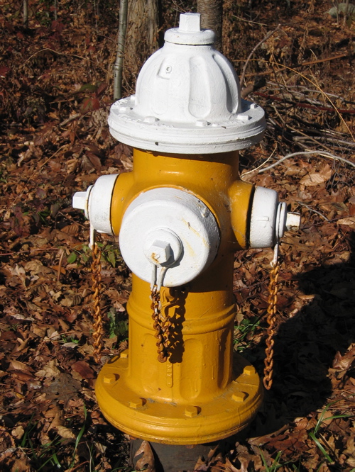 112704yellowwhitefireplug.jpg