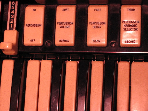 5204organ.jpg