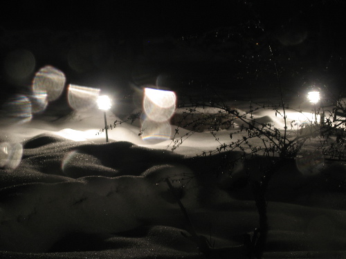 snowyardlights.jpg